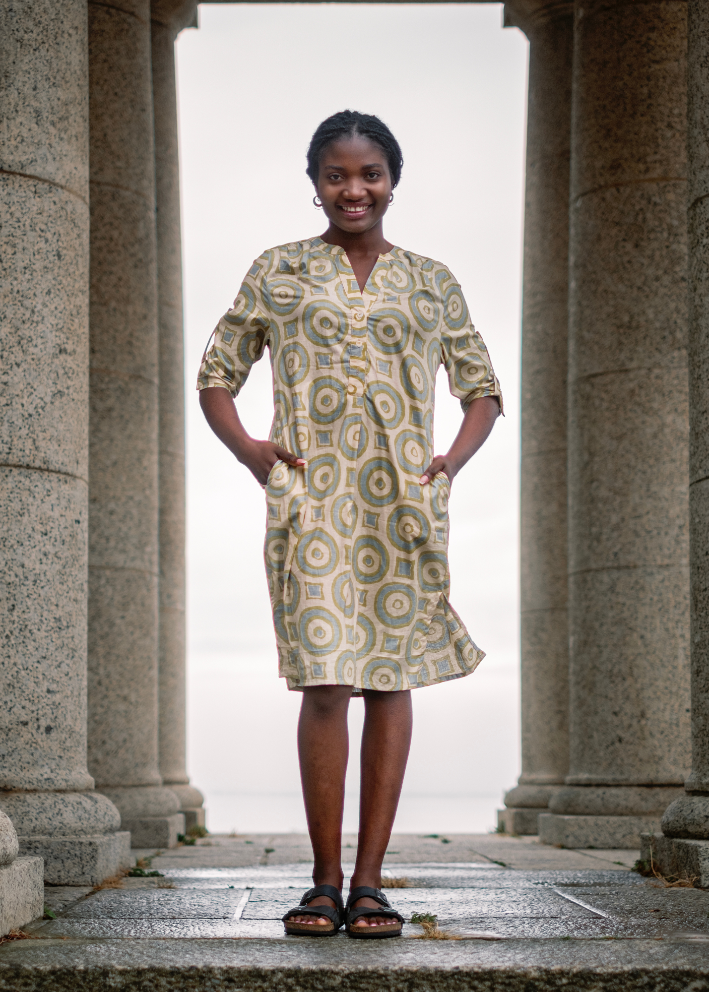 Mandarin Collar Dress in Taupe & avocado